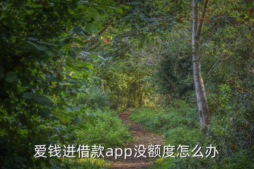 愛(ài)錢(qián)進(jìn)借款app沒(méi)額度怎么辦