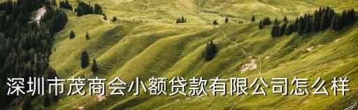 深圳市茂商會(huì)小額貸款有限公司怎么樣