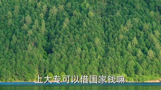 上大?？梢越鑷义X嘛