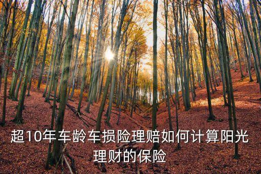 超10年車(chē)齡車(chē)損險(xiǎn)理賠如何計(jì)算陽(yáng)光理財(cái)?shù)谋ｋU(xiǎn)