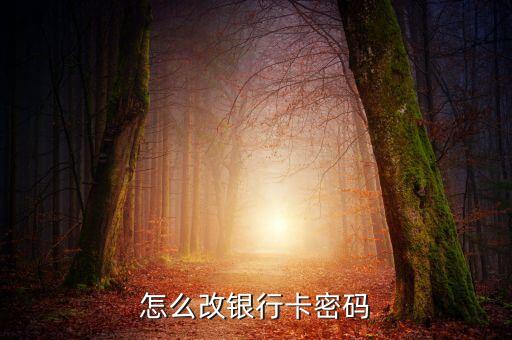 借記卡怎么重置密碼，借記卡密碼忘記了怎么辦