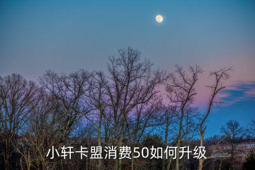 小軒卡盟消費(fèi)50如何升級(jí)