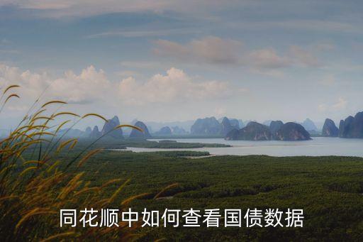 同花順中如何查看國債數(shù)據(jù)
