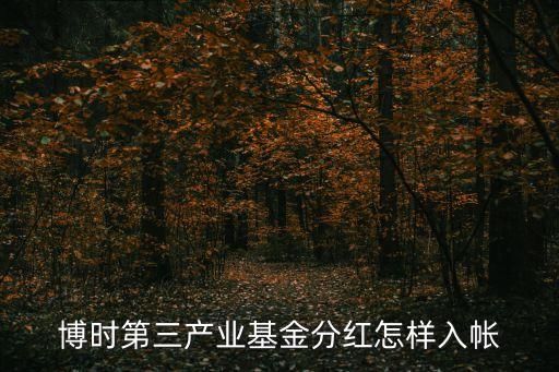 基金分紅怎么做賬，同花順投資賬本如何記錄場內基金分紅