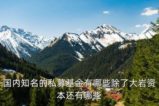大巖定增怎么樣，有誰知道大巖資本怎么樣呢