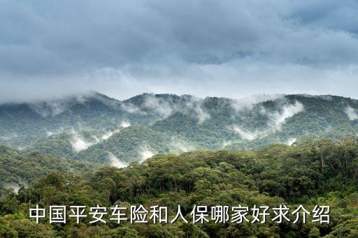 平安 人保車(chē)險(xiǎn)怎么樣，中國(guó)平安車(chē)險(xiǎn)和人保哪家好求介紹