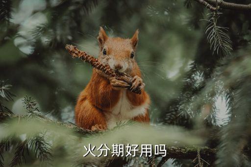 火分期 額度怎么定，趣分期怎么提升額度