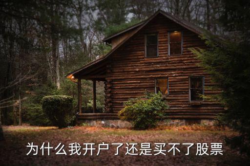 為什么我開(kāi)戶了還是買不了股票