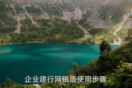 建行公戶網(wǎng)銀盾怎么用，建行企業(yè)U盾怎么用