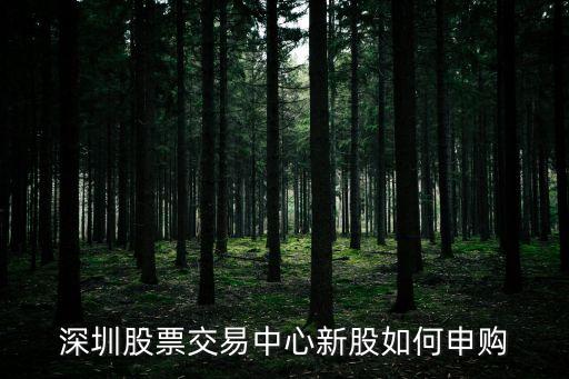 深圳a股新股怎么申購，深圳股票交易中心新股如何申購