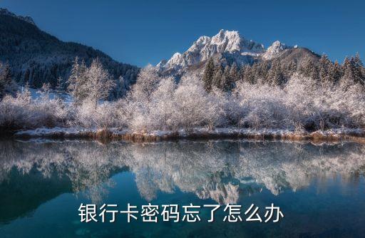 銀行卡密碼忘了怎么辦