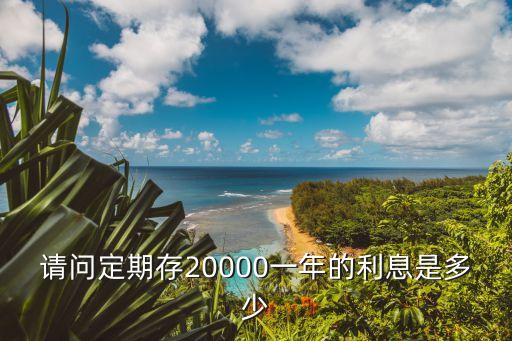 請問定期存20000一年的利息是多少