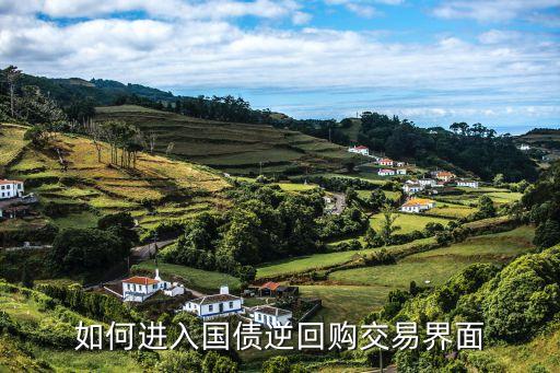 如何進(jìn)入國債逆回購交易界面