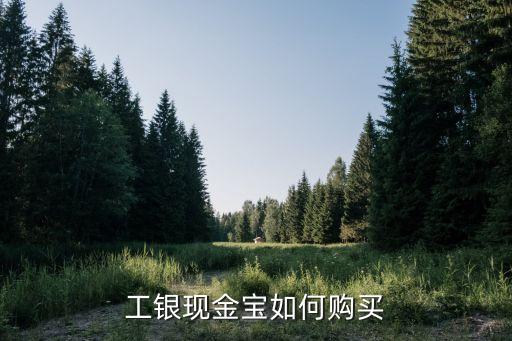 工銀現(xiàn)金寶怎么買(mǎi)，工行現(xiàn)金寶怎么買(mǎi)