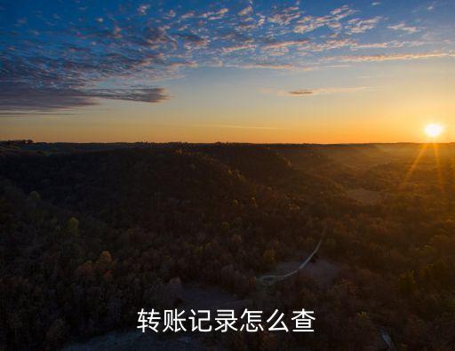 轉(zhuǎn)賬記錄怎么查