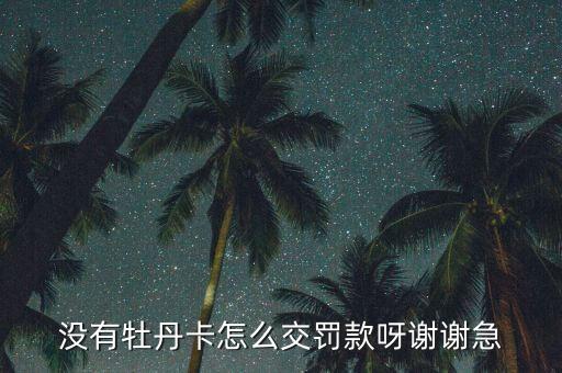上海沒有牡丹卡怎么交罰款，牡丹交通卡丟失請(qǐng)問怎么辦理罰款