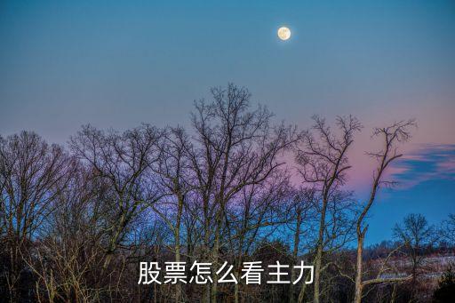 股票怎么看主力
