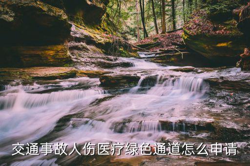 交通事故人傷醫(yī)療綠色通道怎么申請