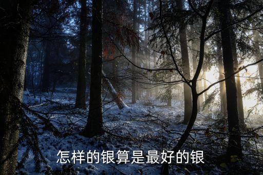 怎么樣才算是個好銀，怎樣的銀算是最好的銀