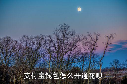 支付寶錢(qián)包怎么開(kāi)通花唄