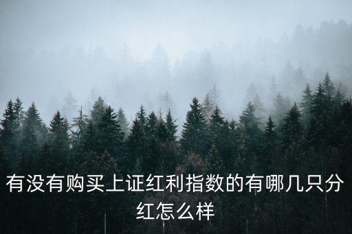 匯添富均衡增長混合怎么樣，經(jīng)傳炒股軟件誰用過功能怎么樣分析的好么