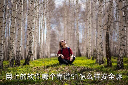 網(wǎng)上的軟件哪個靠譜51怎么樣安全嘛
