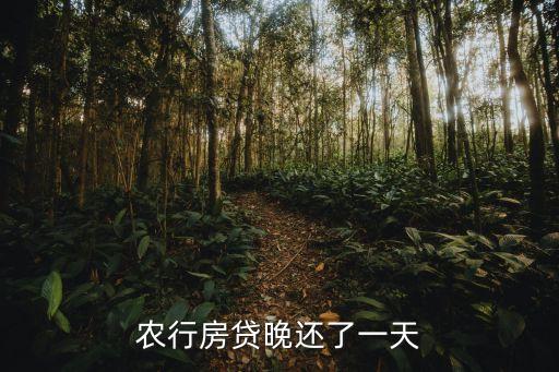 房貸推遲了一天怎么辦，農(nóng)行房貸晚還了一天