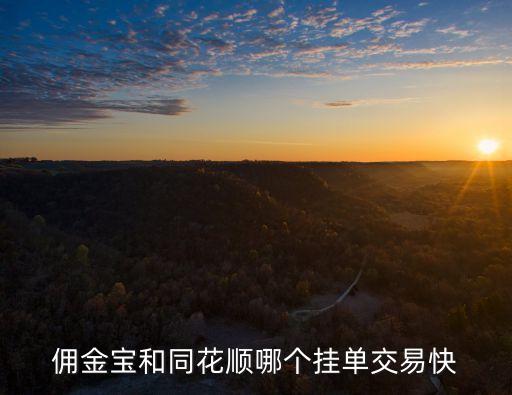 傭金寶和同花順哪個掛單交易快