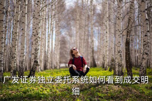 廣發(fā)證券 成交明細 怎么看，廣發(fā)證券獨立委托系統如何看到成交明細
