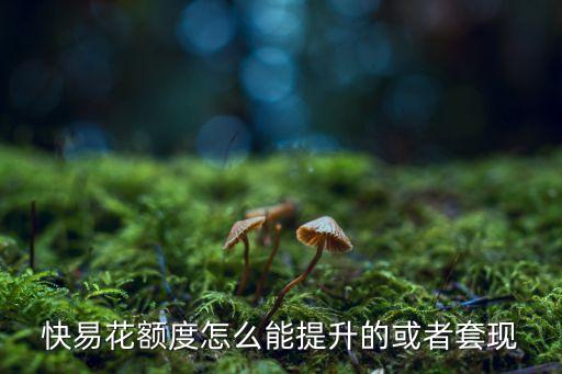 快易花額度怎么能提升的或者套現(xiàn)