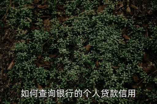 個(gè)人貸款怎么查征信，如何查詢銀行的個(gè)人貸款信用