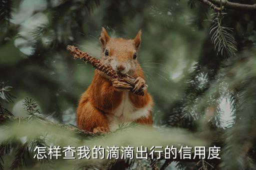 怎樣查我的滴滴出行的信用度