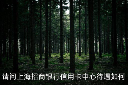 招行信用卡中心工資待遇怎么樣，請(qǐng)問(wèn)上海招商銀行信用卡中心待遇如何