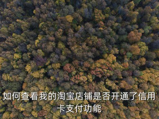 如何查看我的淘寶店鋪是否開通了信用卡支付功能