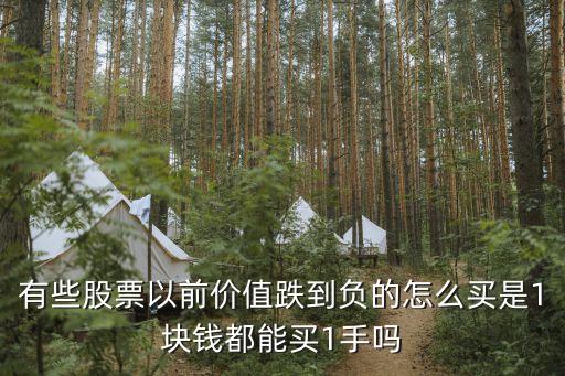股價(jià)為負(fù)數(shù)怎么買，如何購買零數(shù)股票