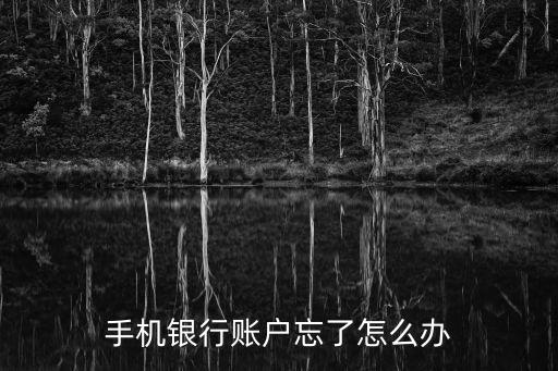 錦州手機(jī)銀行用戶名忘了怎么辦，手機(jī)銀行賬戶忘了怎么辦