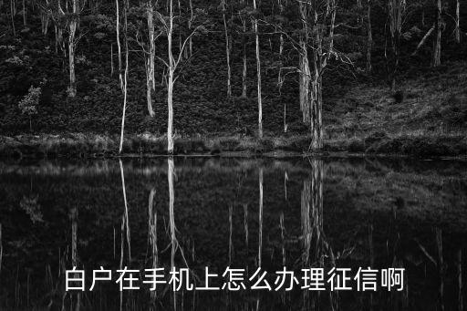 白戶怎么申請(qǐng)征信報(bào)告，我是白戶 怎么注冊(cè)征信賬號(hào)