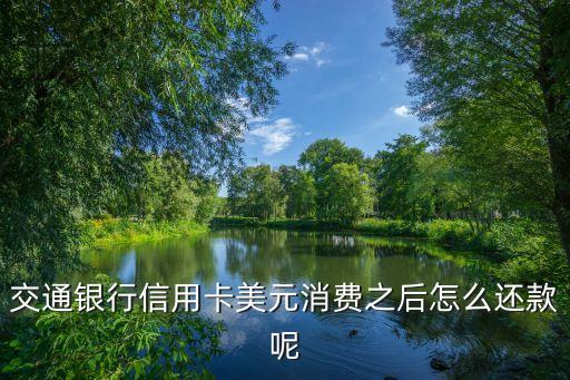 交通信用卡美金怎么還，交通銀行信用卡要還款美金