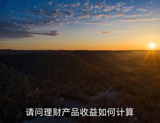 請問理財產品收益如何計算