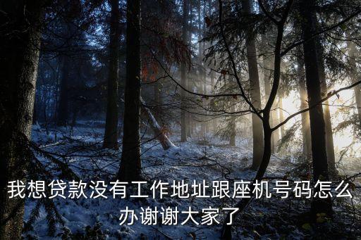 我想貸款沒有工作地址跟座機號碼怎么辦謝謝大家了
