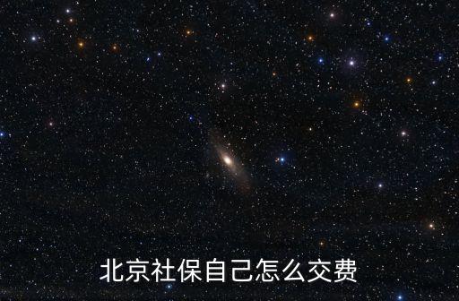 北京社保自己怎么交費(fèi)