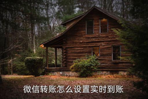 手機怎么轉(zhuǎn)賬實時到賬時間，手機銀行轉(zhuǎn)賬需要多長時間