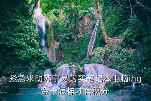 緊急求助蘇寧易購買筆記本電腦ihg金卡怎樣才有積分
