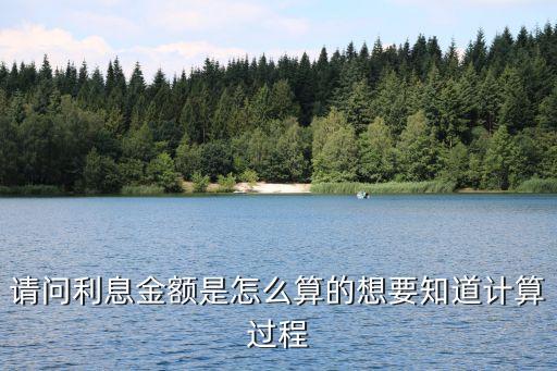 請問利息金額是怎么算的想要知道計算過程