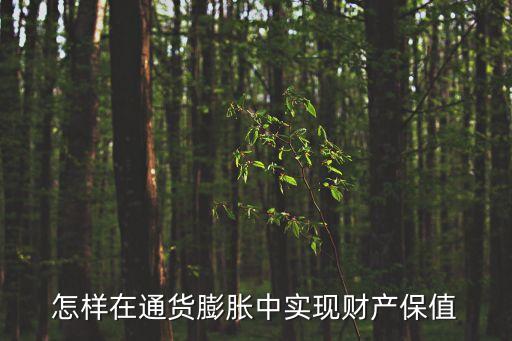 怎樣在通貨膨脹中實現(xiàn)財產(chǎn)保值