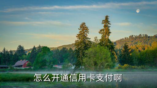 怎么開通信用卡支付啊