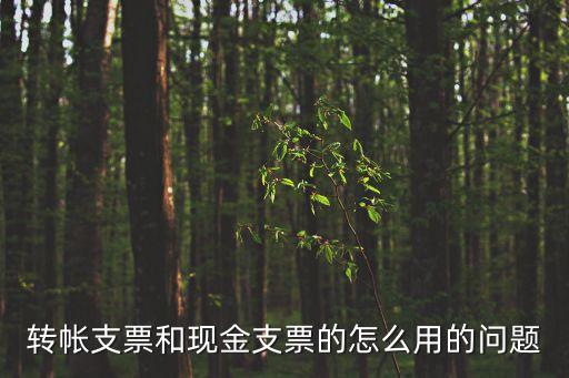 轉(zhuǎn)帳支票和現(xiàn)金支票的怎么用的問題