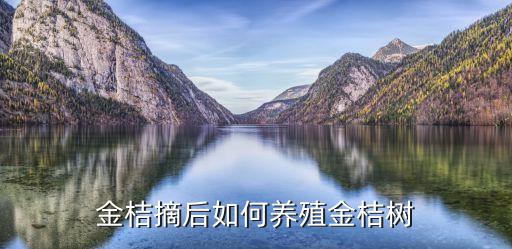 金桔結(jié)果后怎么菅理，金桔結(jié)果后冬季在室外能生存嗎
