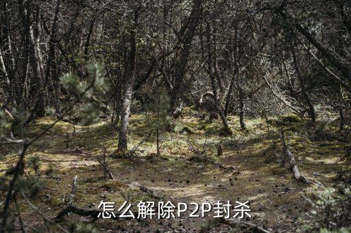 怎么解除P2P封殺