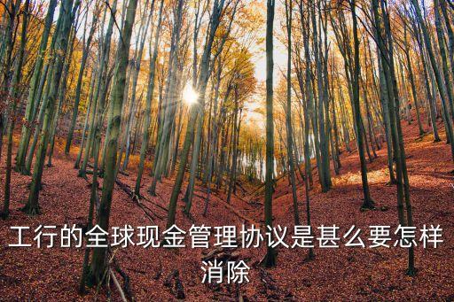 工行的全球現(xiàn)金管理協(xié)議是甚么要怎樣消除